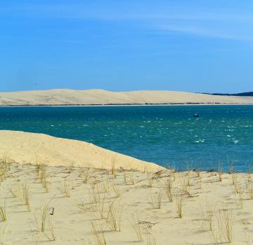 Soar to new heights…