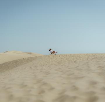 EXPERIENCE ARCACHON AT YOUR OWN PACE